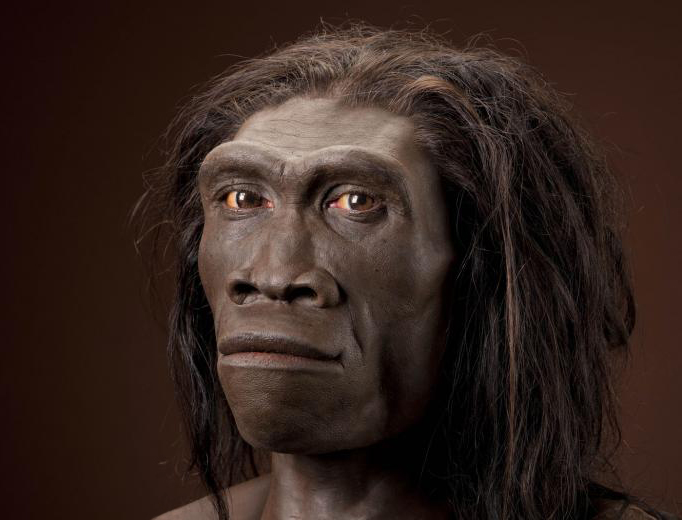 homo-erectus-reconstruction-gurche.jpg