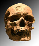 130px-Cro-Magnon.jpg